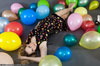 small preview pic number 100 from set 1222 showing Allyoucanfeet model Madeleine