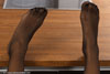 small preview pic number 13 from set 2277 showing Allyoucanfeet model Yazzi