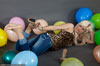 small preview pic number 17 from set 892 showing Allyoucanfeet model Luna